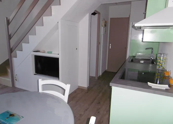 Charmante Maisonnette Proche - Animaux Admis - Fr-1-823-117 بيت للعطل بارْباتْرْ